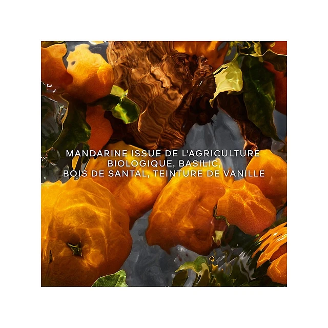 Guerlain Aqua Allegoria Forte Mandarine Basilic Eau De Parfum - Image 12