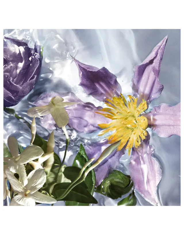 Guerlain Aqua Allegoria Flora Salvaggia Eau De Toilette - Image 2