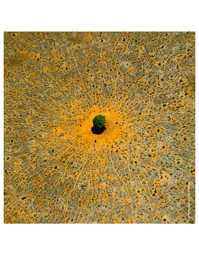 Guerlain Aqua Allegoria Mandarine Basilic Eau De Toilette - Image 5