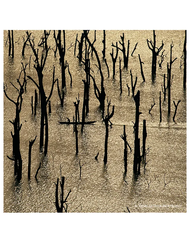 Guerlain Aqua Allegoria Forte Nerolia Vetiver Eau De Parfum - Image 10