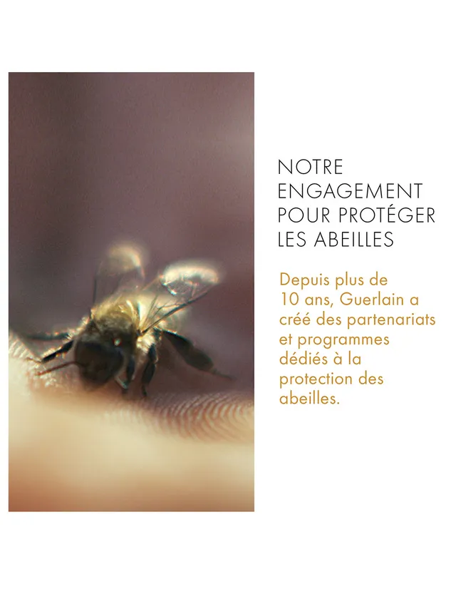 Guerlain Abeille Royale Mattifying Day Cream - Image 8