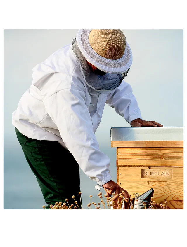 Guerlain Abeille Royale Double R Renew & Repair Eye Serum - Image 18